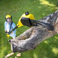 Best Landscape Design and Installation  in Streator, IL